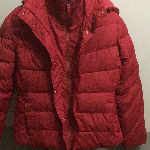 Bitten puffer coat💕 - Picture 2 of 8